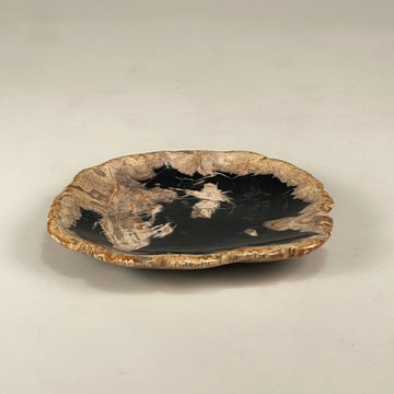 Petrified & Mineralized Wood Tray