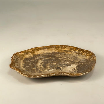 Petrified & Mineralized Wood Tray