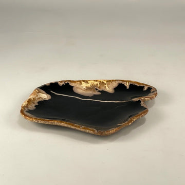 Petrified & Mineralized Wood Tray