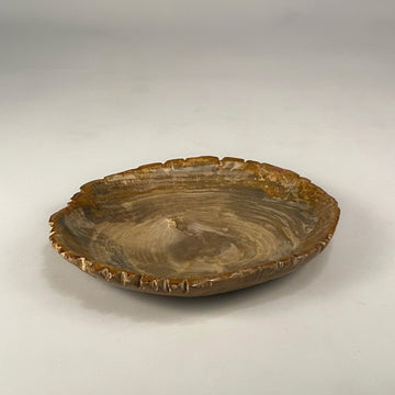 Petrified & Mineralized Wood Tray