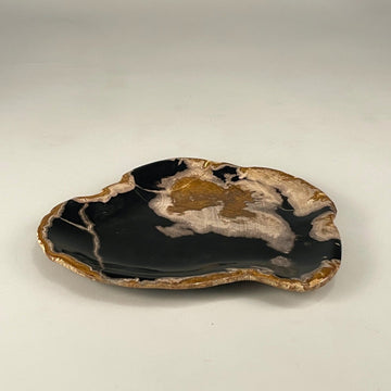 Petrified & Mineralized Wood Tray