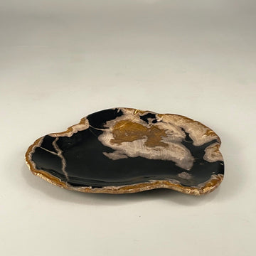 Petrified & Mineralized Wood Tray