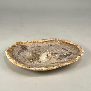 Petrified & Mineralized Wood Tray