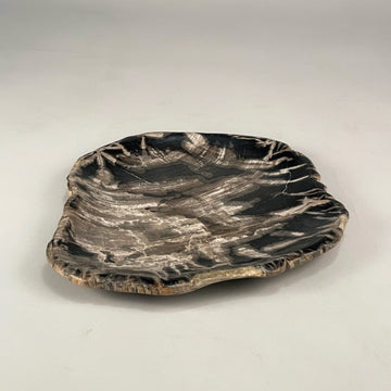 Petrified & Mineralized Wood Tray