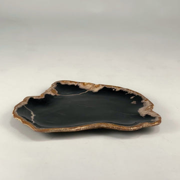 Petrified & Mineralized Wood Tray