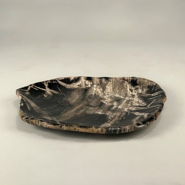 Petrified & Mineralized Wood Tray