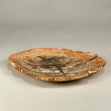 Petrified & Mineralized Wood Tray