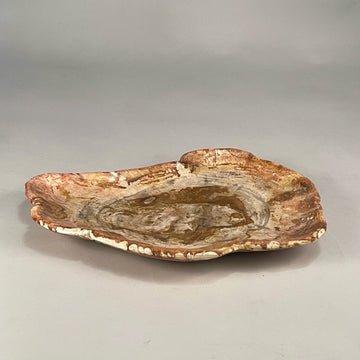 Petrified & Mineralized Wood Tray