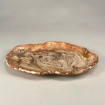 Petrified & Mineralized Wood Tray