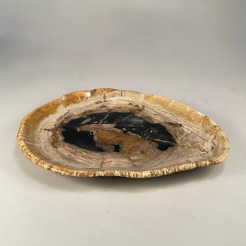 Petrified & Mineralized Wood Tray