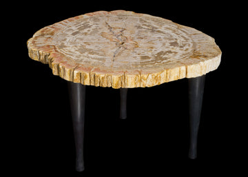 Petrified Wood Table