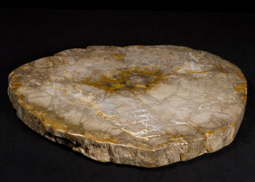 Petrified & Mineralized Wood Slab