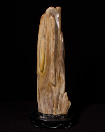 Sculpture Of Petrified Wood